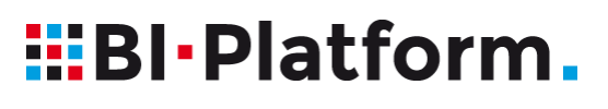 BI-Platform