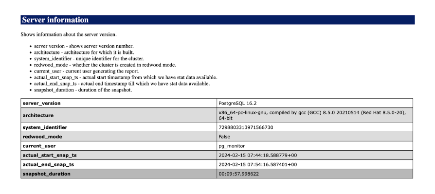 Server information section of the workload report