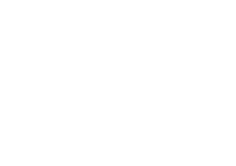 MSN Logo