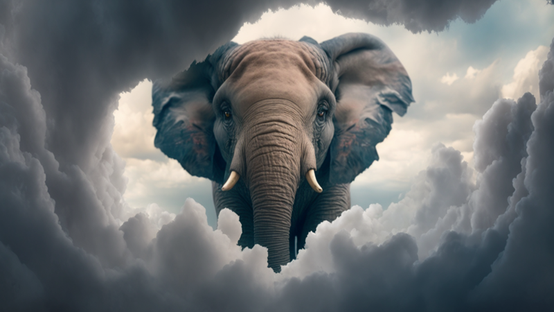 Elephant in the sky